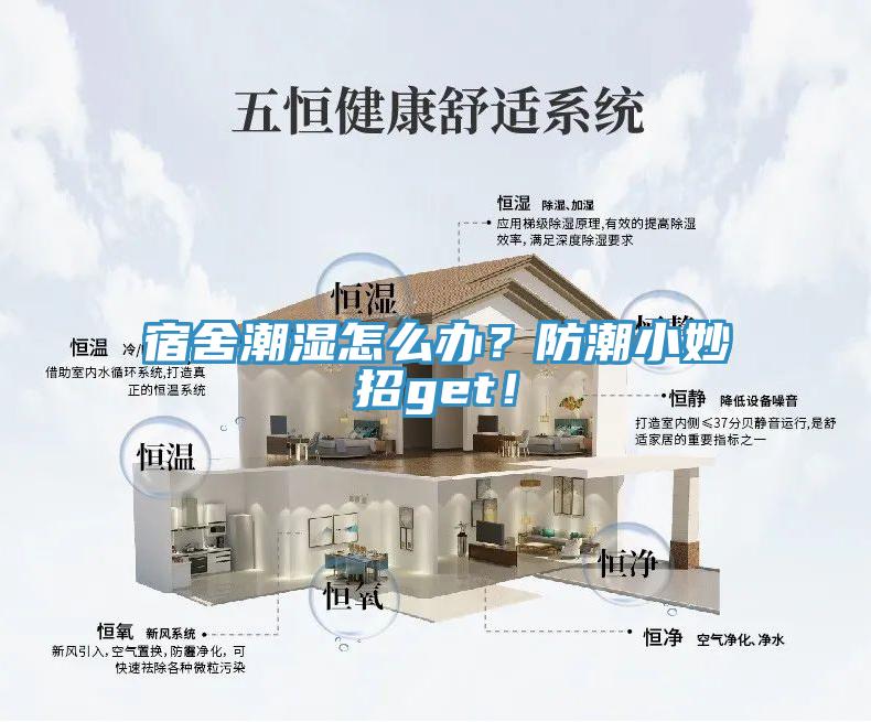 宿舍潮湿怎么办？防潮小妙招get！