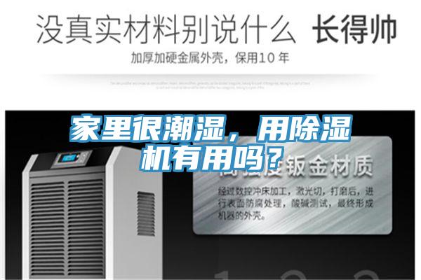 家里很潮湿，用除湿机有用吗？