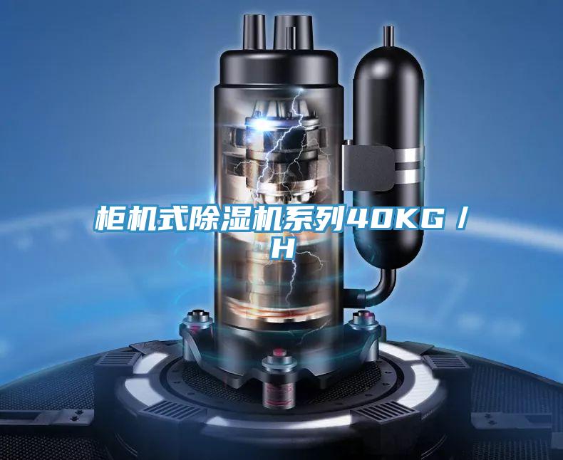 柜机式除湿机系列40KG/H