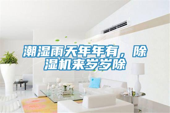 潮湿雨天年年有，除湿机来岁岁除