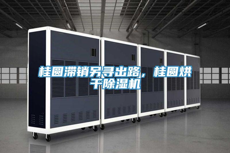 桂圆滞销另寻出路，桂圆烘干除湿机