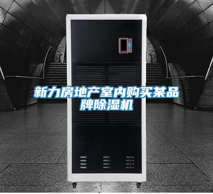 新力房地产室内购买某品牌除湿机