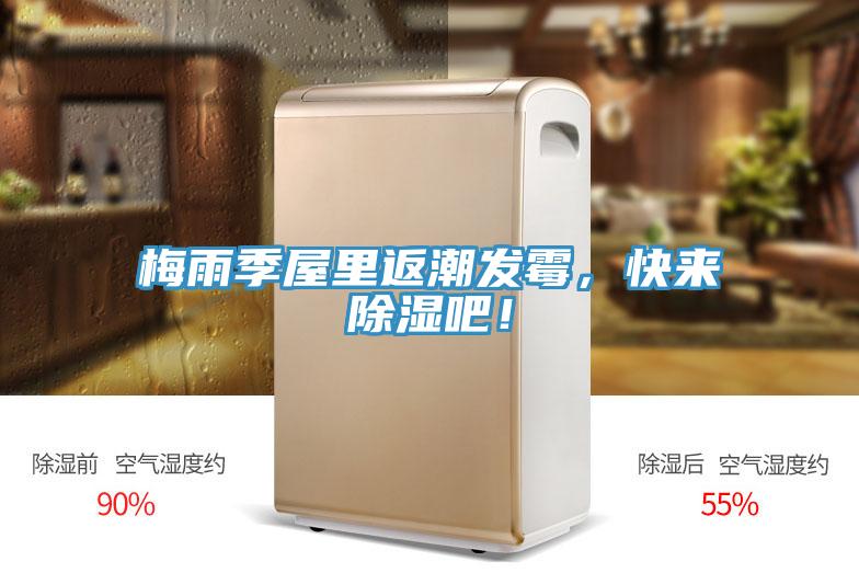 梅雨季屋里返潮发霉，快来除湿吧！