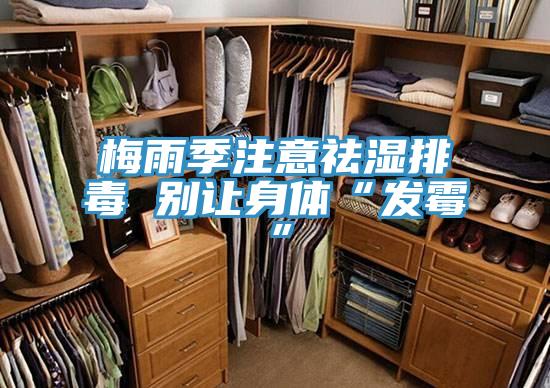 梅雨季注意祛湿排毒 别让身体“发霉”