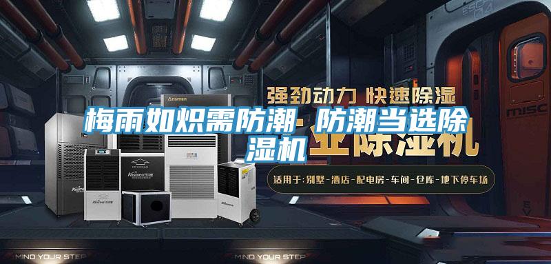 梅雨如炽需防潮 防潮当选除湿机
