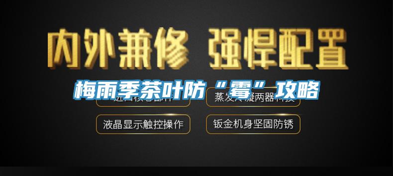 梅雨季茶叶防“霉”攻略