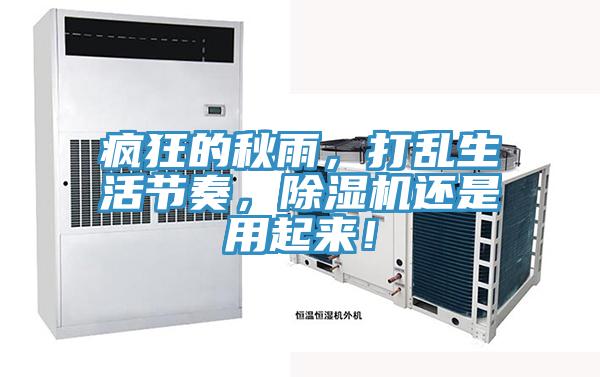 疯狂的秋雨，打乱生活节奏，除湿机还是用起来！