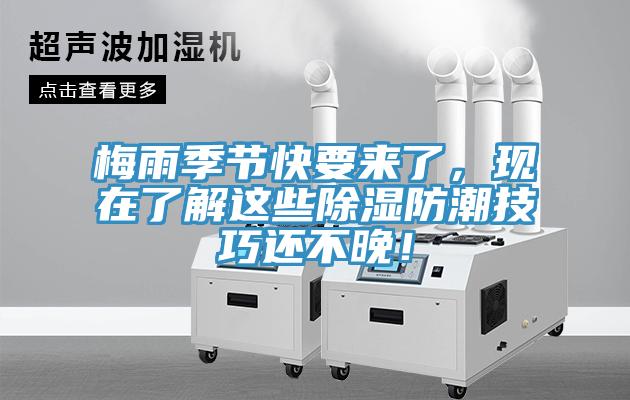 梅雨季节快要来了，现在了解这些除湿防潮技巧还不晚！