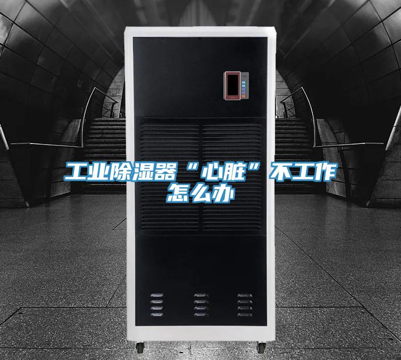 工业除湿器“心脏”不工作怎么办