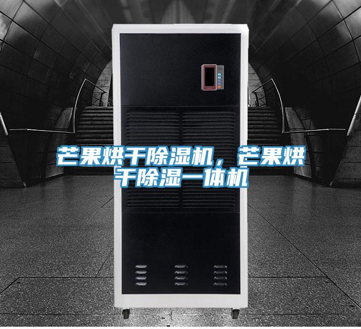 芒果烘干除湿机,芒果烘干除湿一体机