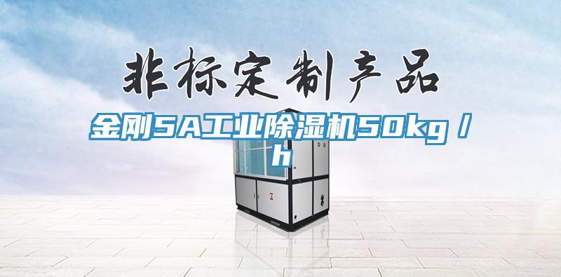 金刚5A工业除湿机50kg／h