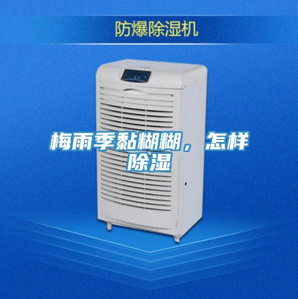 梅雨季黏糊糊，怎样除湿
