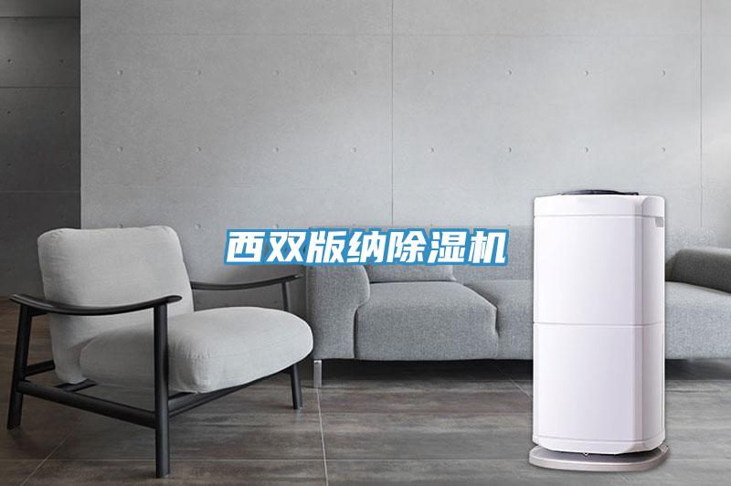 西双版纳除湿机