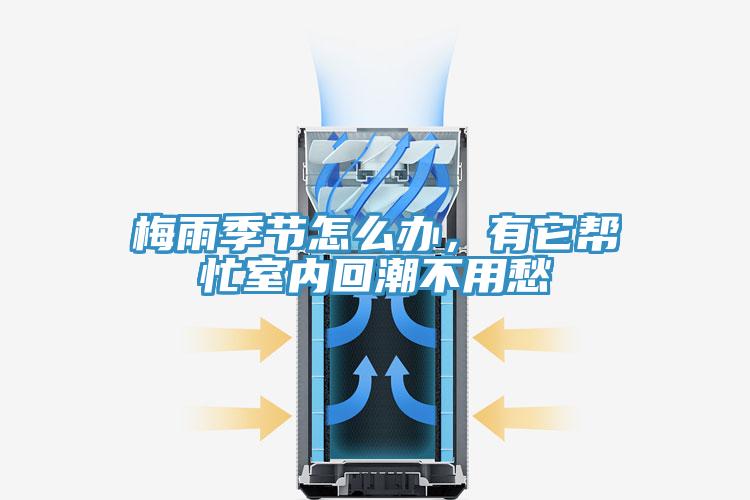 梅雨季节怎么办，有它帮忙室内回潮不用愁