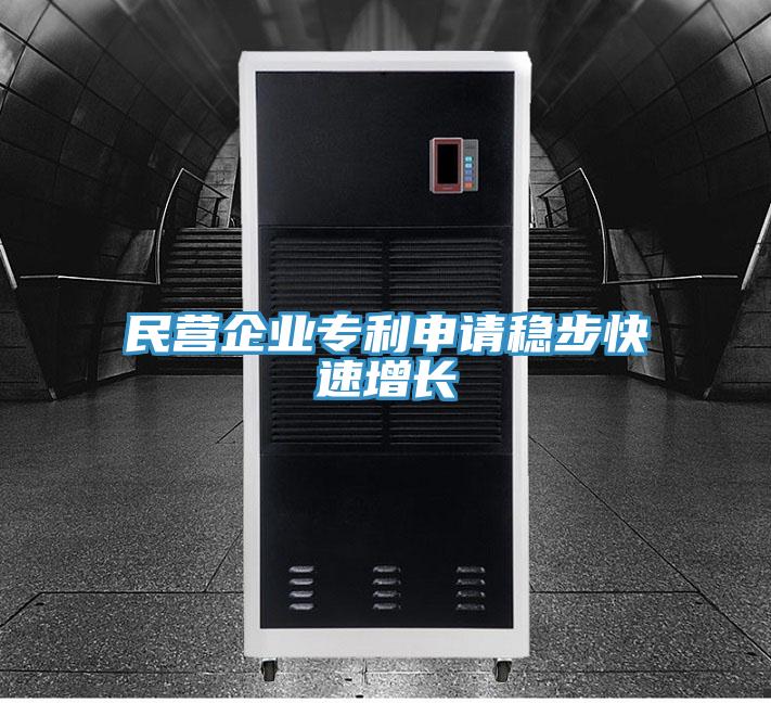 民营企业专利申请稳步快速增长