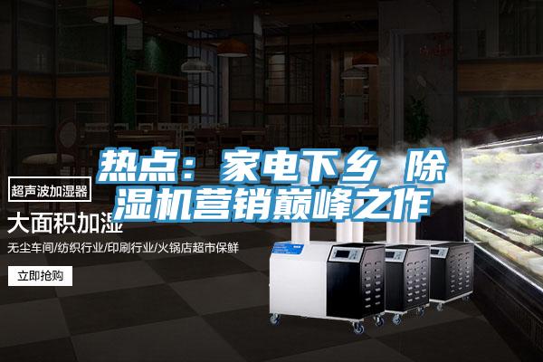 热点：家电下乡 除湿机营销巅峰之作