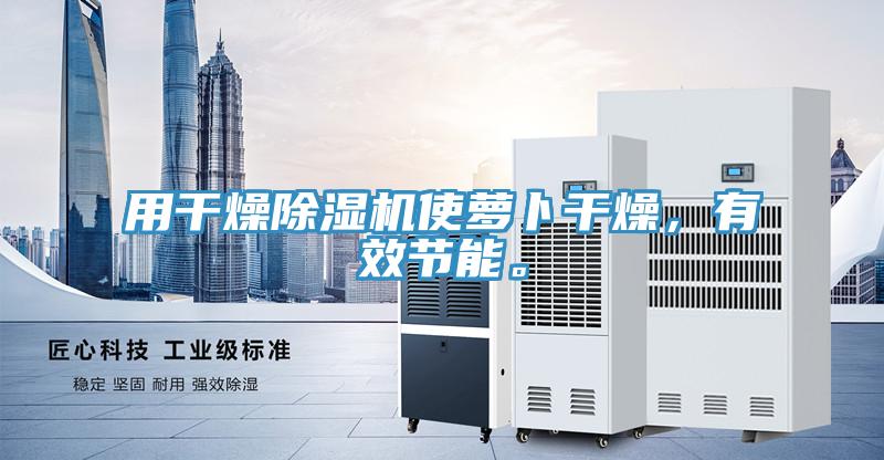 用干燥除湿机使萝卜干燥，有效节能。