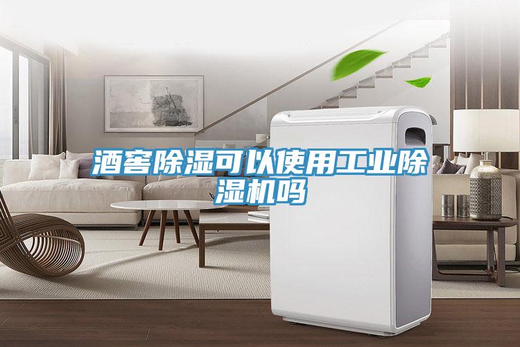酒窖除湿可以使用工业除湿机吗