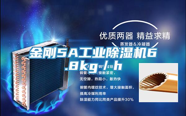 金刚5A工业除湿机6.8kg／h