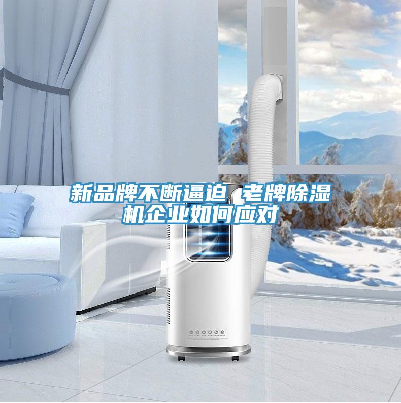 新品牌不断逼迫 老牌除湿机企业如何应对