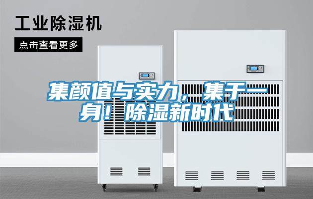 集颜值与实力，集于一身！除湿新时代