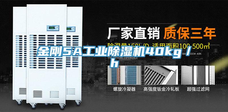 金刚5A工业除湿机40kg／h