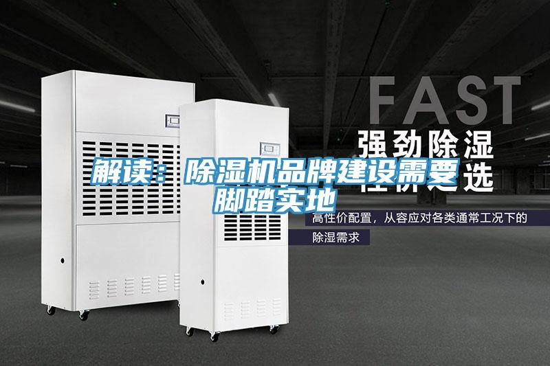 解读:除湿机品牌建设需要脚踏实地