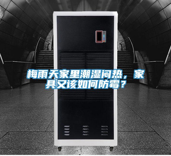 梅雨天家里潮湿闷热，家具又该如何防霉？