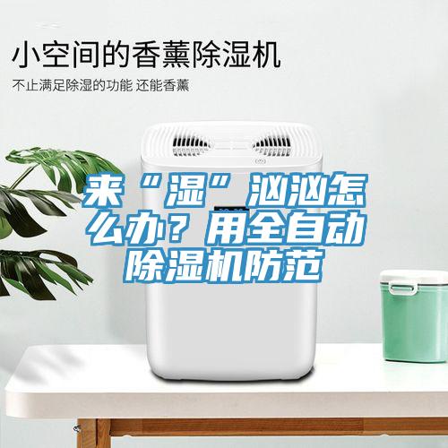 来“湿”汹汹怎么办？用全自动除湿机防范