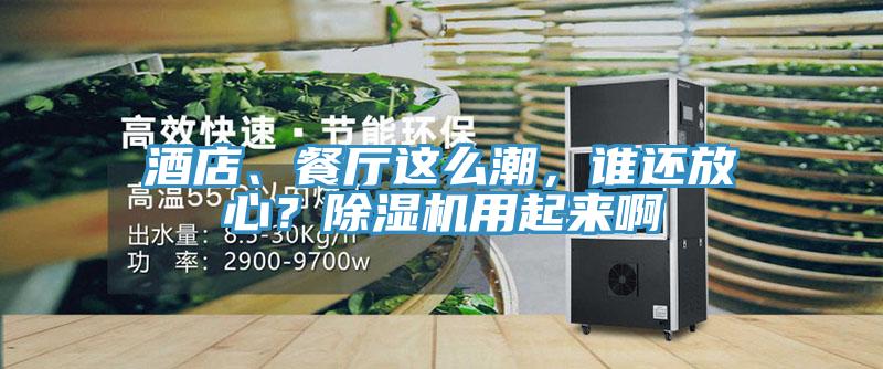 酒店、餐厅这么潮，谁还放心？除湿机用起来啊