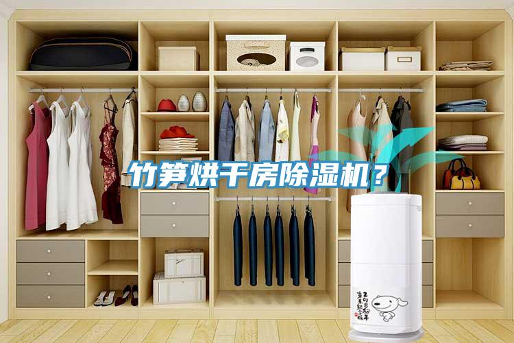 竹笋烘干房除湿机？