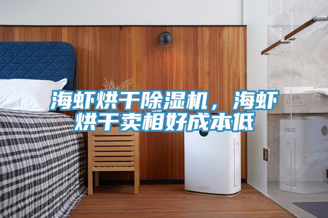 海虾烘干除湿机,海虾烘干卖相好成本低