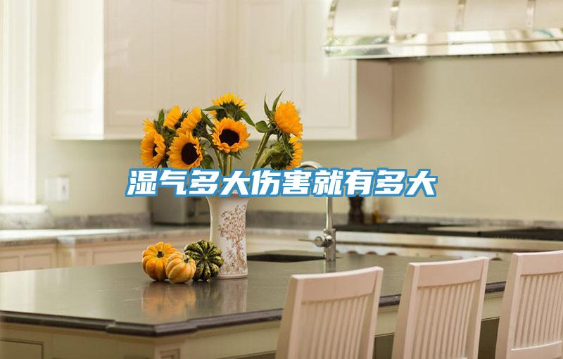 湿气多大伤害就有多大