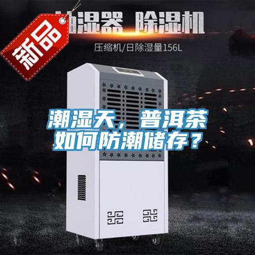 潮湿天，普洱茶如何防潮储存？