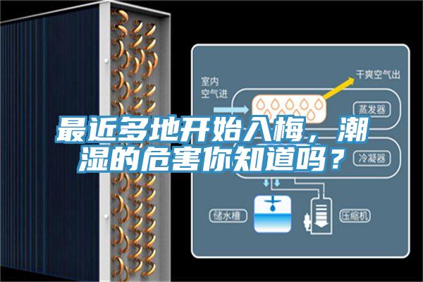 最近多地开始入梅，潮湿的危害你知道吗？