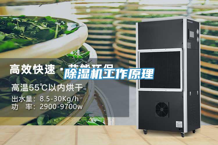 除湿机工作原理