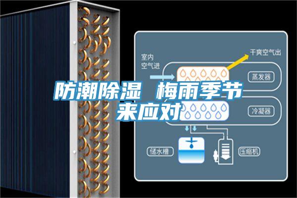 防潮除湿 梅雨季节来应对