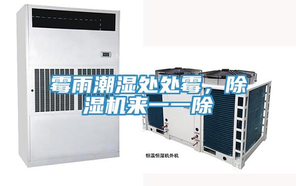 霉雨潮湿处处霉，除湿机来一一除