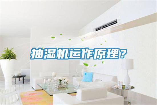 抽湿机运作原理？