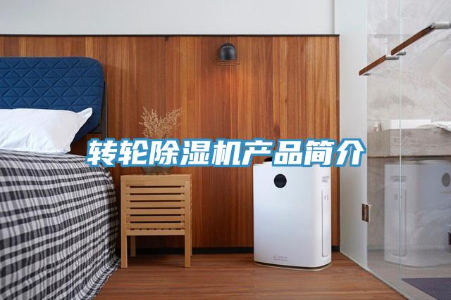 转轮除湿机产品简介