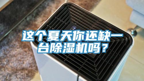 这个夏天你还缺一台除湿机吗？