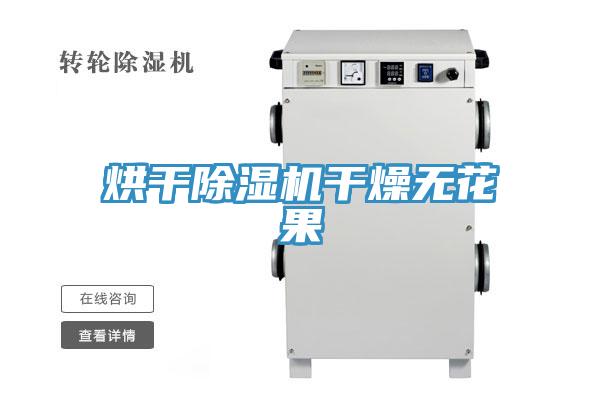 烘干除湿机干燥无花果