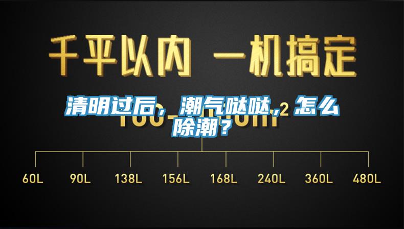 清明过后，潮气哒哒，怎么除潮？