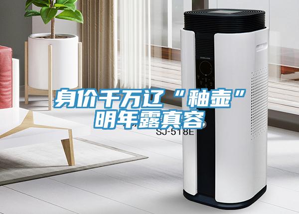 身价千万辽“釉壶”明年露真容