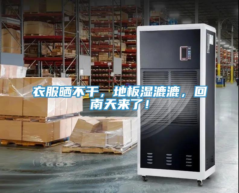 衣服晒不干,地板湿漉漉,回南天来了!