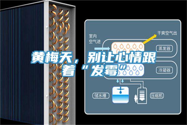 黄梅天，别让心情跟着“发霉”