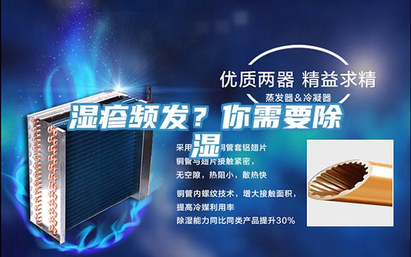 湿疹频发？你需要除湿