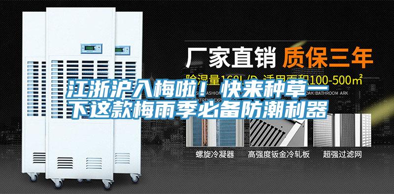 江浙沪入梅啦！快来种草一下这款梅雨季必备防潮利器