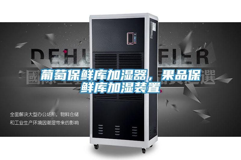 葡萄保鲜库加湿器,果品保鲜库加湿装置