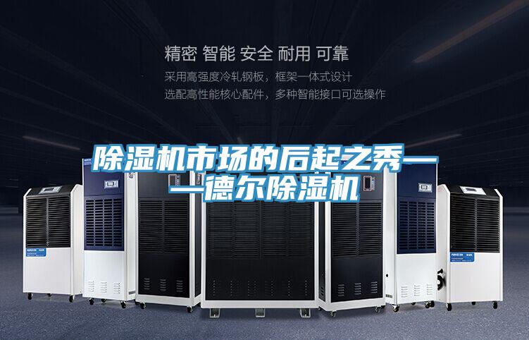 除湿机市场的后起之秀——德尔除湿机